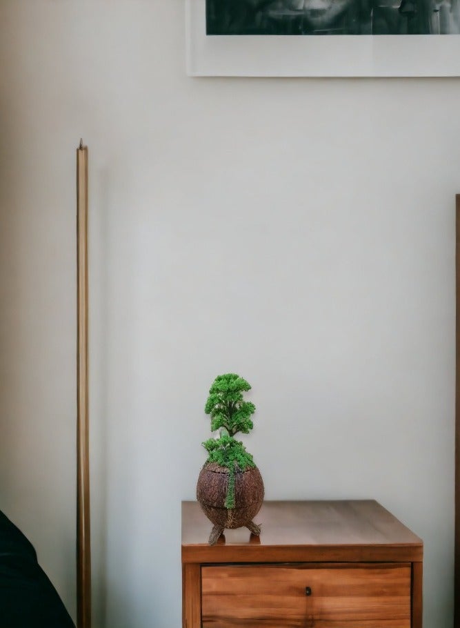 ارك ديكور مزهرية خشبية من جوز الهند - Image 3