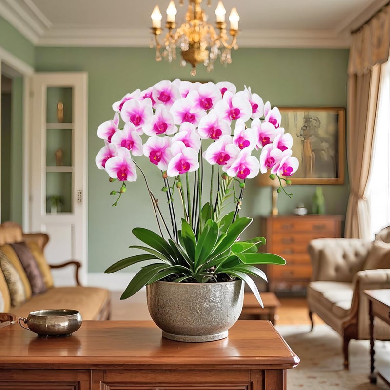 Htmeing 38 Inch Artificial Phalaenopsis Flowers Branches Real Touch (Not Silk) Orchids Flowers for Home Office Wedding Decoration,Pack of 2 (White Pink) - Image 4