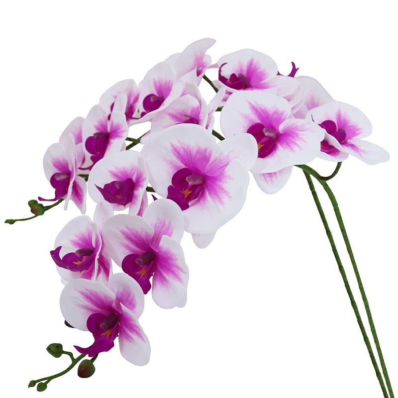 Htmeing 38 Inch Artificial Phalaenopsis Flowers Branches Real Touch (Not Silk) Orchids Flowers for Home Office Wedding Decoration,Pack of 2 (White Pink) - Image 1