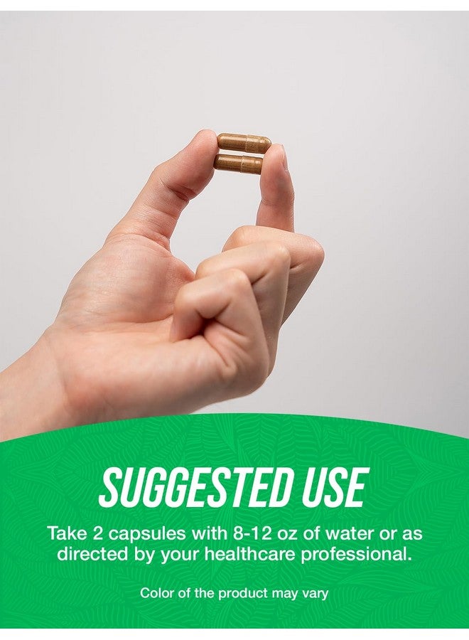 BulkSupplements.com Grapefruit Seed Capsules - Herbal Supplements, Grapefruit Seed Supplements - Vegan, 2 Capsules per Serving (500mg), 360 Count (Pack of 1) - Image 4