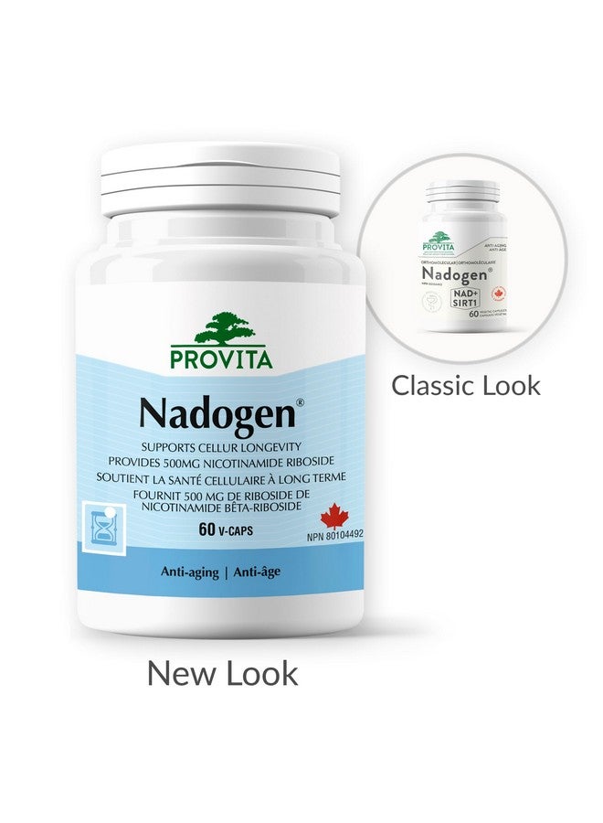 PROVITA Nadogen® - Boost NAD+ Levels, Support Cellular Energy Metabolism & Combat Aging (60 Capsules) - Image 3