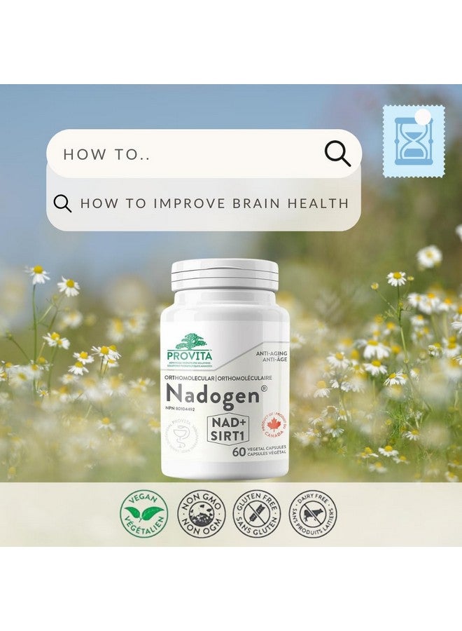 PROVITA Nadogen® - Boost NAD+ Levels, Support Cellular Energy Metabolism & Combat Aging (60 Capsules) - Image 2
