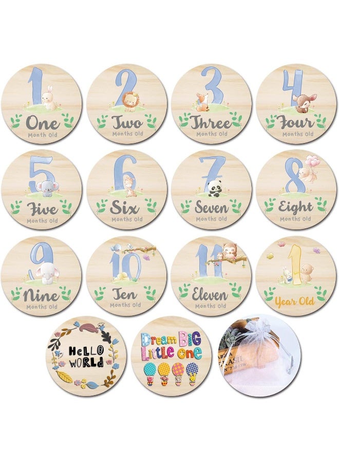 RORANIC Baby Monthly Milestone Cards for Newborn Girl or Boy, Monthly Baby Milestone Newborn Sign Baby Month Anniversary Cards, Baby Shower Cards Come with Organza Gift Bag - Image 1