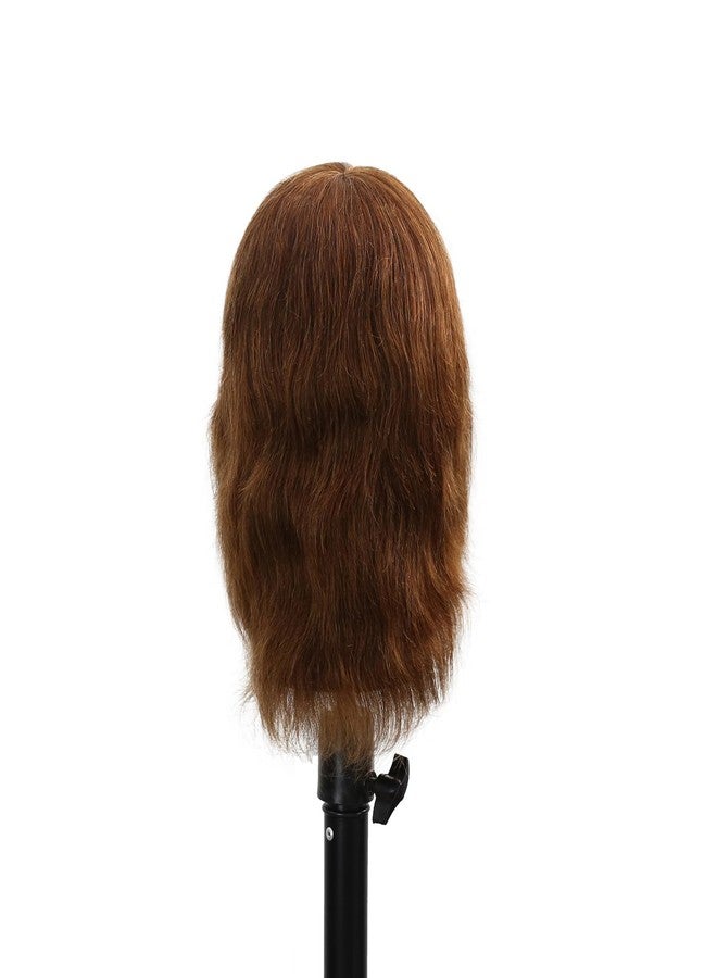 Stancia Barber Mannequin Head Male, Mannequin Head Human Hair for Practicing Haircut, Cosmetology Mannequin Head with 100% Human Hair - Image 3