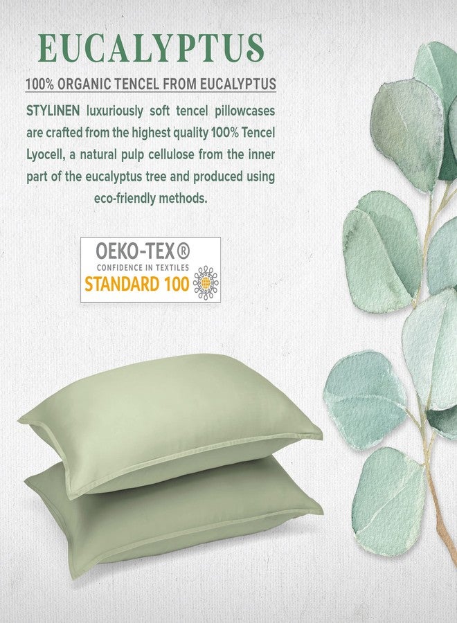 Stylinen طقم أغطية وسائد STYLINEN مقاس كينج مكون من قطعتين (20 بوصة × 40 بوصة) - 100% من ألياف تينسل الليوسيل العضوية من الأوكالبتوس، ناعمة كالحرير، إغلاق ظرفي (طقم غطاءي وسادة كينج، لون المريمية) - Image 2