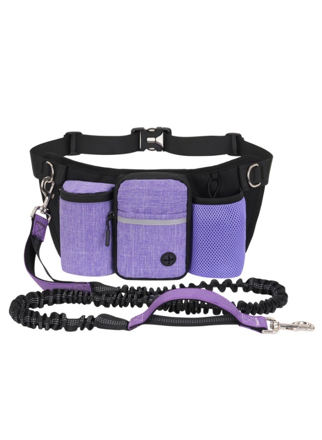 LANNEY Hands Free Dog Running Leash with Multi-Pocket Waist Belt - Image 1