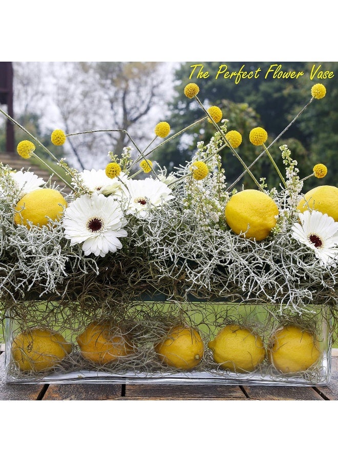 CYS Excel Glass Rectangle Vase H4 Open16x4  Multiple Size Choices Rectangular Flower Vase Centerpieces  Decorative Wedding Centerpiece Vases  Glass Terrarium Container - Image 4