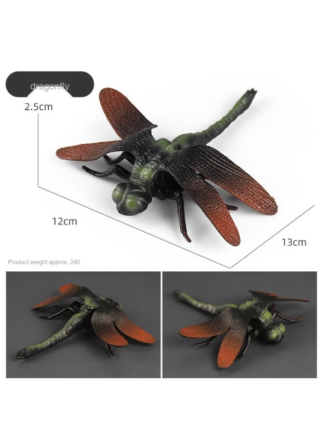 NIBEMINENT Kids Realistic Insect Toy Models