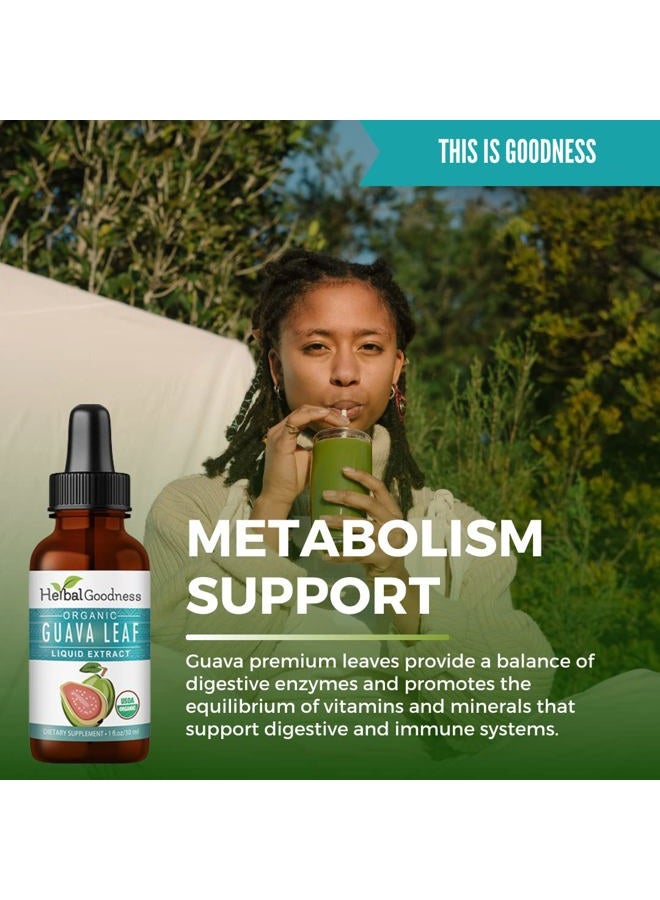 Herbal Goodness Herbal Papaya Guava Leaf Extract Sleep Aid - Anxiety Relief | Healthy Metabolism | Immune Boost - Organic 1oz Liquid Sublingual Bottle - Goodness (1 bttl) - Image 4