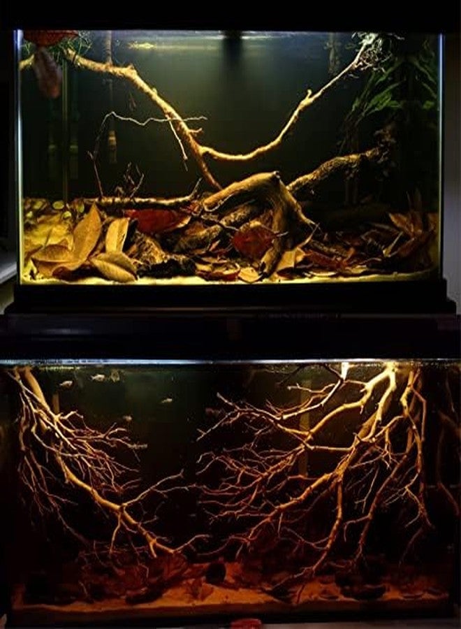 VAYINATO Aquatic Remedies Black Water Concentrate | Creates Natural Rainforest Water (250 ML) - Image 3