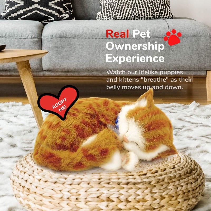 Perfect Petzzz - Original Petzzz Orange Tabby Cat, Realistic Lifelike Stuffed Interactive Pet Toy, Companion Pet with 100% Handcrafted Synthetic Fur - Image 5