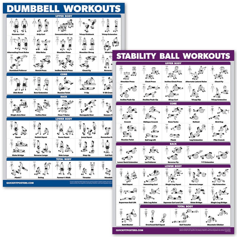 Palace Learning Palace Learning Dumbbell Workouts and Exercise Ball Poster Set  Laminated 2 Chart Set  Dumbbell Exercise Routine  StabilityYoga Ball Workouts 18 x 24