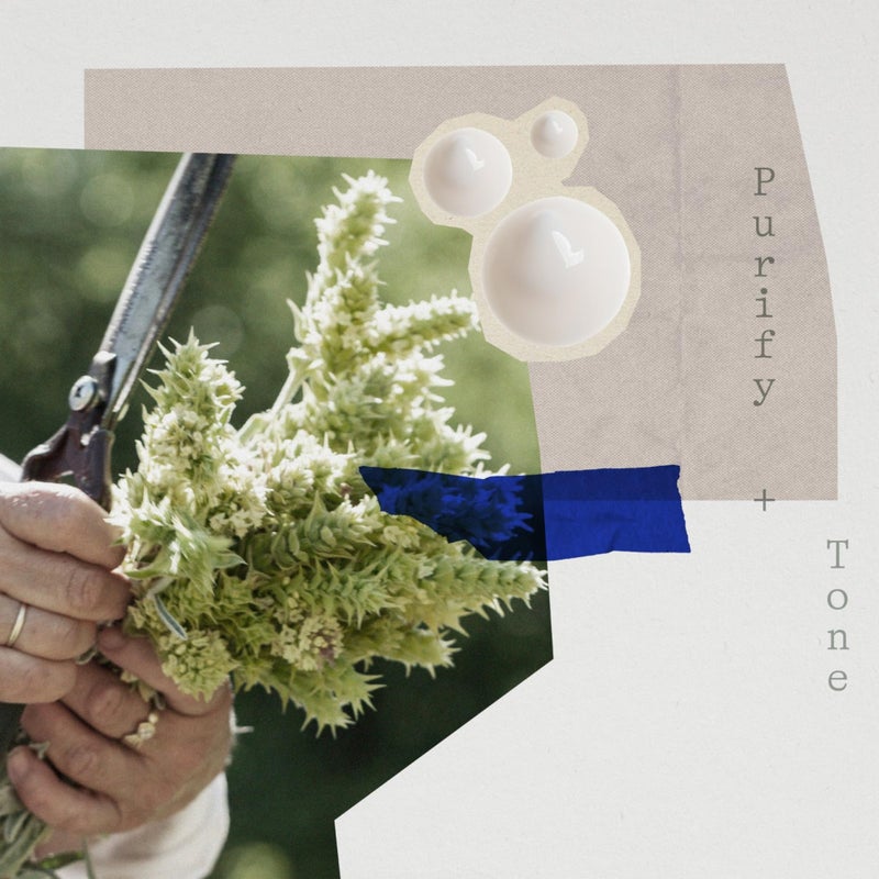 KORRES Olympus Tea Foaming Cream Cleanser, Gentle Face Wash With Organic Greek Mountain Tea, Cream-to-foam Formula For Everyday Use, Rinses Away Makeup & Residue, Leaves Skin Fresh & Soft, 6.76 Fl Oz - Image 4