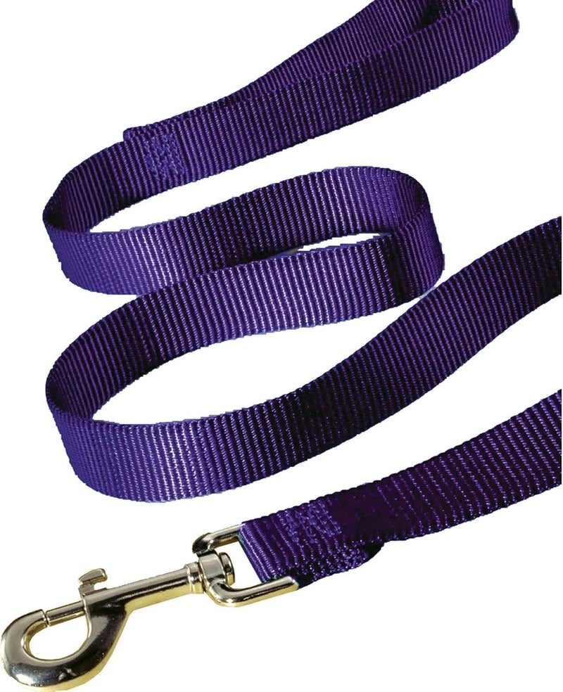 Hamilton Single Thick Deluxe Nylon Dog Leash with Swivel Snap, 1" by 6' Long, Purple - Image 5