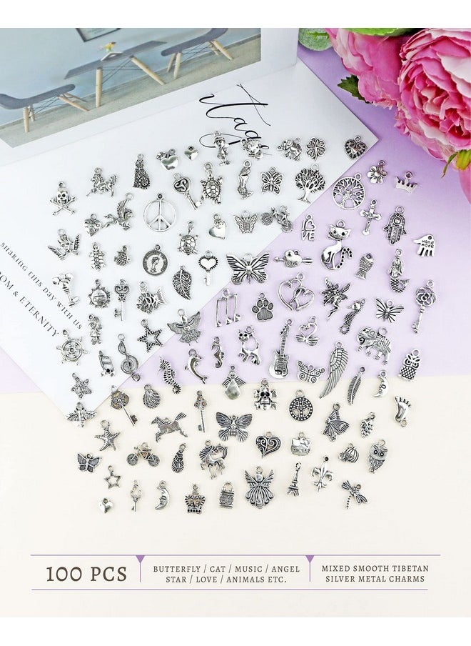 JIALEEY Wholesale Bulk Lots Jewelry Making Silver Charms Mixed Smooth Tibetan Silver Metal Charms Pendants DIY for Necklace Bracelet Jewelry Making and Crafting, JIALEEY 100 Pieces - pzsku/ZD240D0F19F43B3488CEBZ/45/_/1741329790/afe29ed5-5381-43b5-bdde-0642629c7ca1