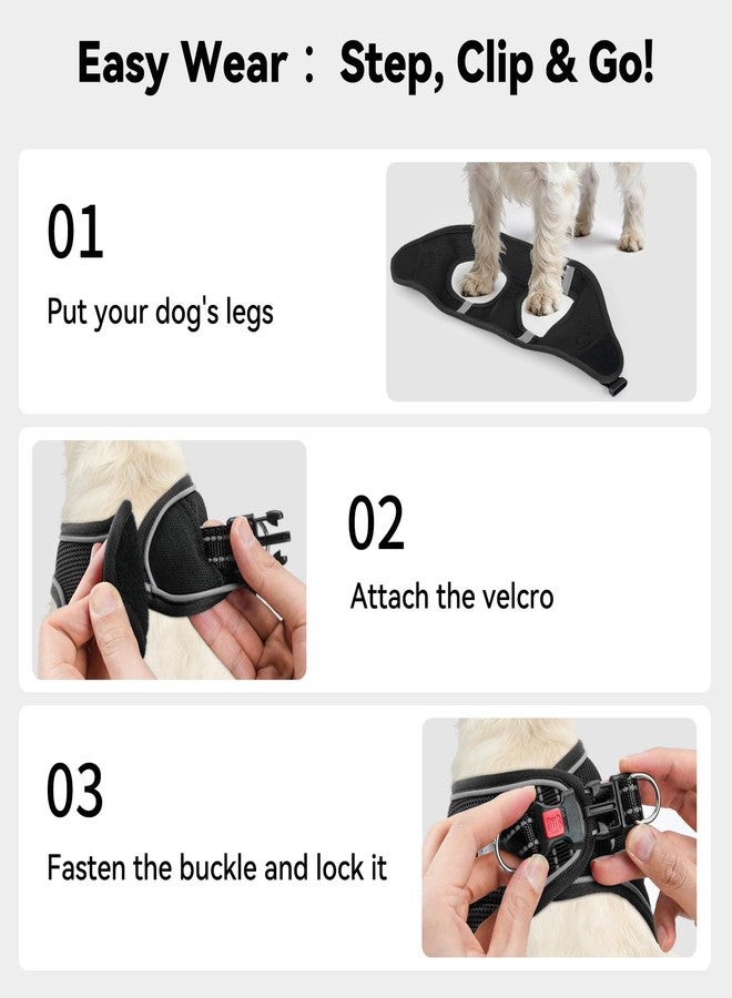 Joytale Small Dog Harness, Breathable Mesh Step-in Vest, Reflective Soft Padded Harnesses for Cats, Puppies and Extra Small Dogs, Black, XXS - Image 3