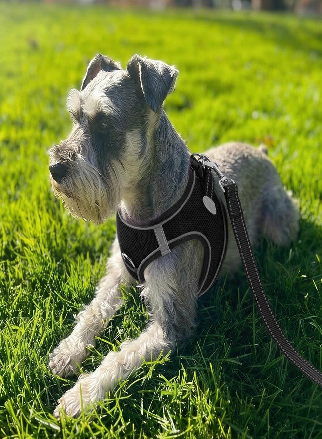 Joytale Small Dog Harness, Breathable Mesh Step-in Vest, Reflective Soft Padded Harnesses for Cats, Puppies and Extra Small Dogs, Black, XXS - Image 2