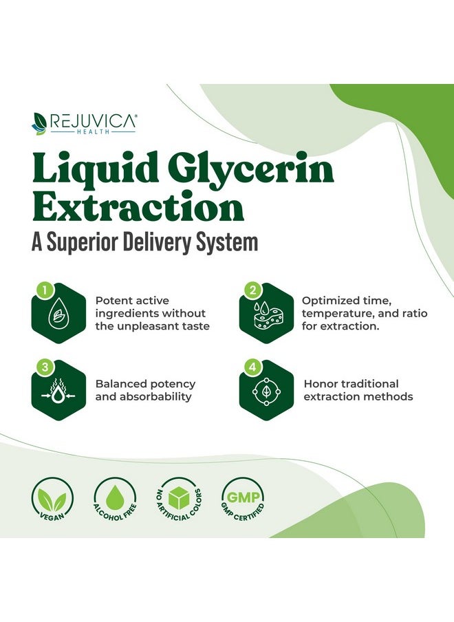 Rejuvica Health - Vitaliver Liver Health Supplement Support Liver Cleanse & Detox Liquid Delivery For Absorption Milk Thistle Artichoke Chanca Piedra Dandelion & More! - Image 1