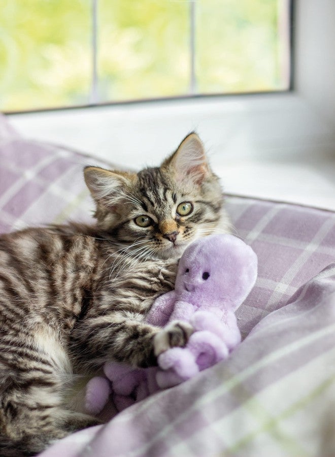 Rosewood Jolly Moggy Under The Sea Oversized Plush Octopus Cat Toy Mixed - Image 5