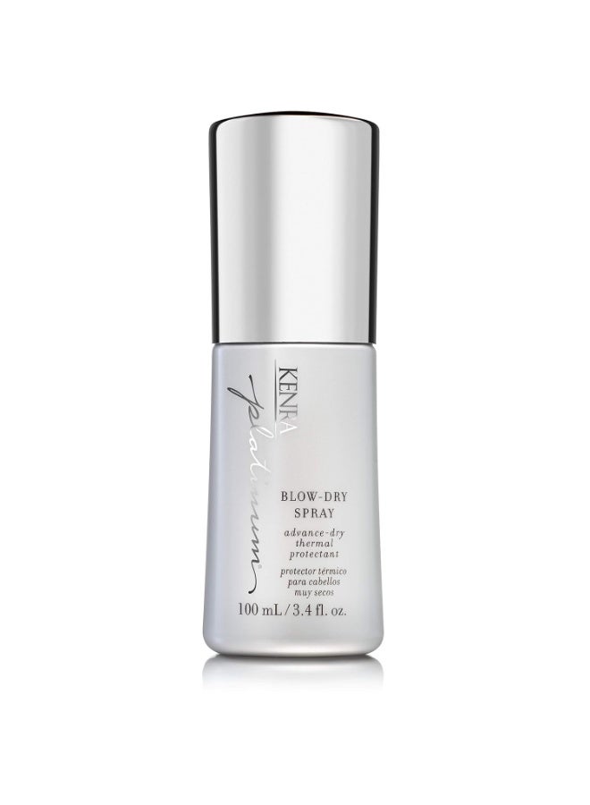 Kenra Platinum Blow-Dry Spray | Time-Saving Heat Protectant | Detangles, Smooths, and Softens | Eliminates Frizz & Resists Humidity | Medium To Coarse Hair | 3.4 fl. oz - Image 1