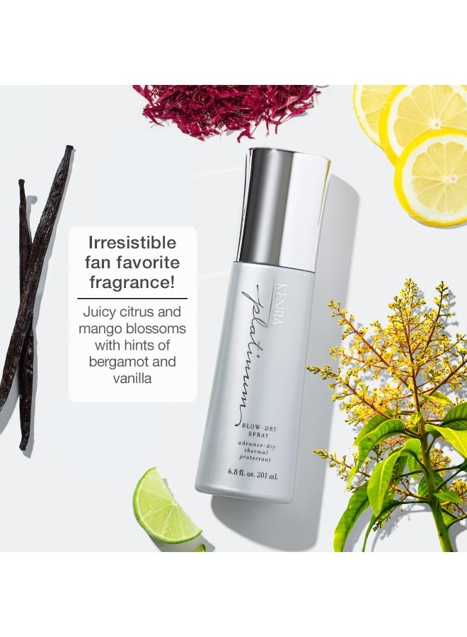 Kenra Platinum Blow-Dry Spray | Time-Saving Heat Protectant | Detangles, Smooths, and Softens | Eliminates Frizz & Resists Humidity | Medium To Coarse Hair | 3.4 fl. oz - Image 3