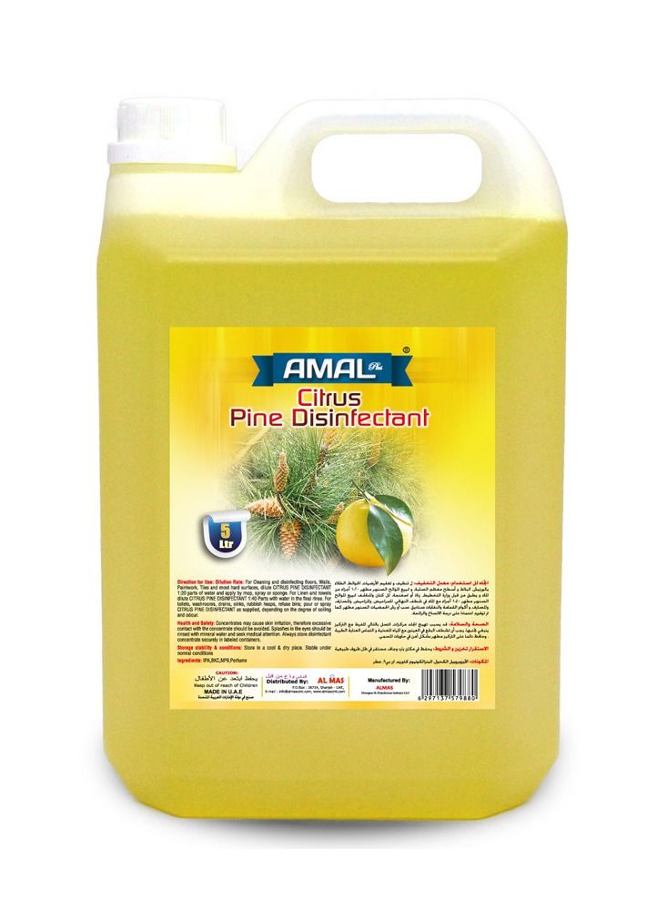 Amal Plus Citrus Pine Disinfectant Floor Cleaner 5Litre