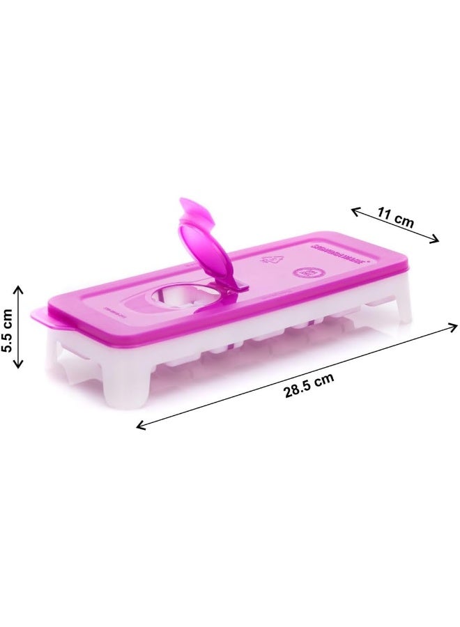 Signoraware Ice Cube Tray with TPE Easy Release Base with Removable lid, 14 Cubes, BPA Free, Purple - Image 3