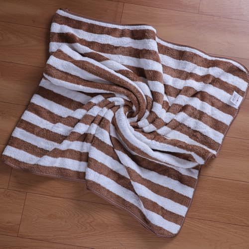 Fezora® Microfiber Super Absorbent Towels for Bath | Quick Dry Bath Towels | Towels for Bath Large Size | 2 Piece Bath Towel for Men/Women 70 cms x 140 cms (Striped-Sky Blue & Brown) - Image 3