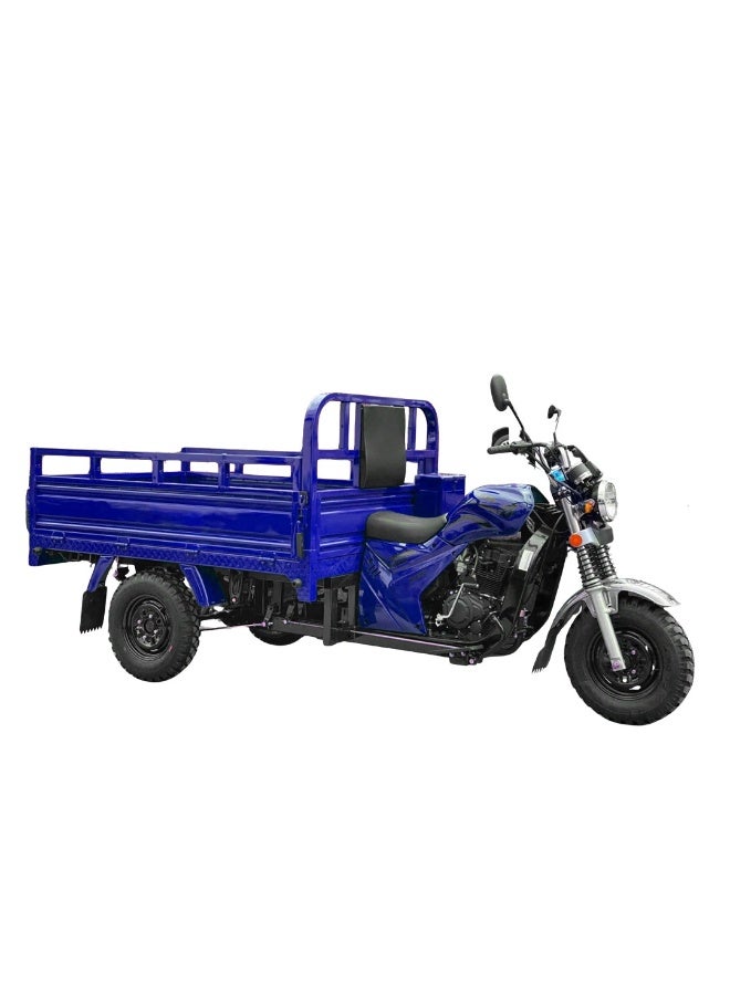 Megawheels Motorcycle Export Petrol Powered 200cc Cargo 3 Wheel Tricycle for Adults - Image 1