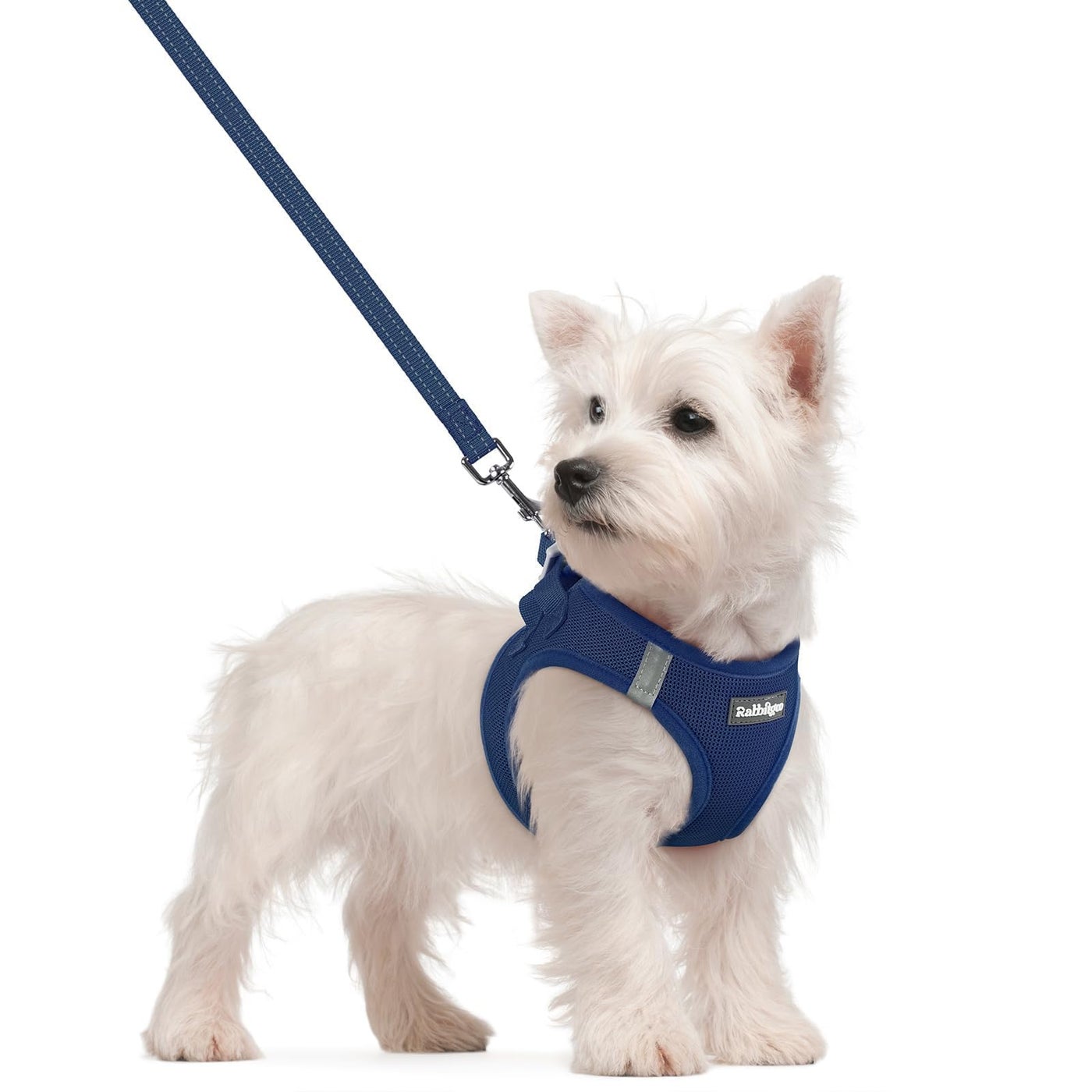 rabbitgoo Dog Harness Small Sized and Leash Set, Step in Soft Light Puppy Vest, Breathable Mesh Pet Harness, Reflective for Safe Outdoor Walking, Navy Blue S