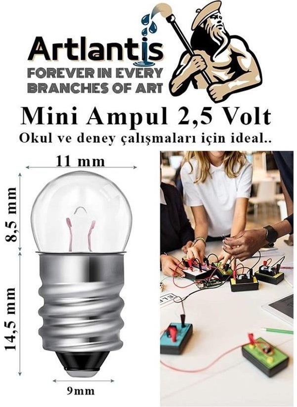 Artlantis - Series and Parallel Electric Circuit 1 Pack Simple Electric Circuit Experiment Set School Work Education Set - Image 1