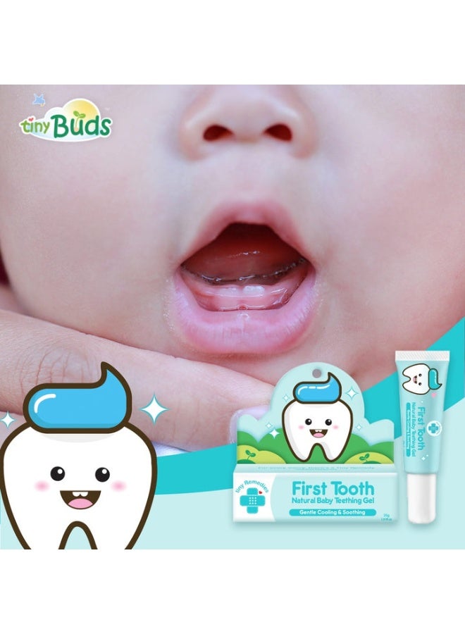 براعم صغيرة للأطفال جيل التسنين الطبيعي "فيرست توث" (First Tooth) من تايني بودز (20 جم) – مهدئ ومبرد للثة – خالي من البنزوكائين والمواد المخدرة – آمن عند البلع – خالي من الفلورايد - Image 2