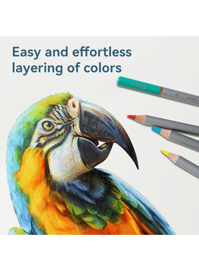 Deli EC300-36 Colored Pencils Set - 36 Vibrant Colors, Soft 4.0mm Lead, Pre-Sharpened for Blending, Layering, and Shading - Image 3