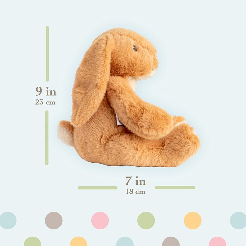 KIDS PREFERRED Guess How Much I Love You Nutbrown Hare Bean Bag Plush, 9 inches (96784) - Image 3