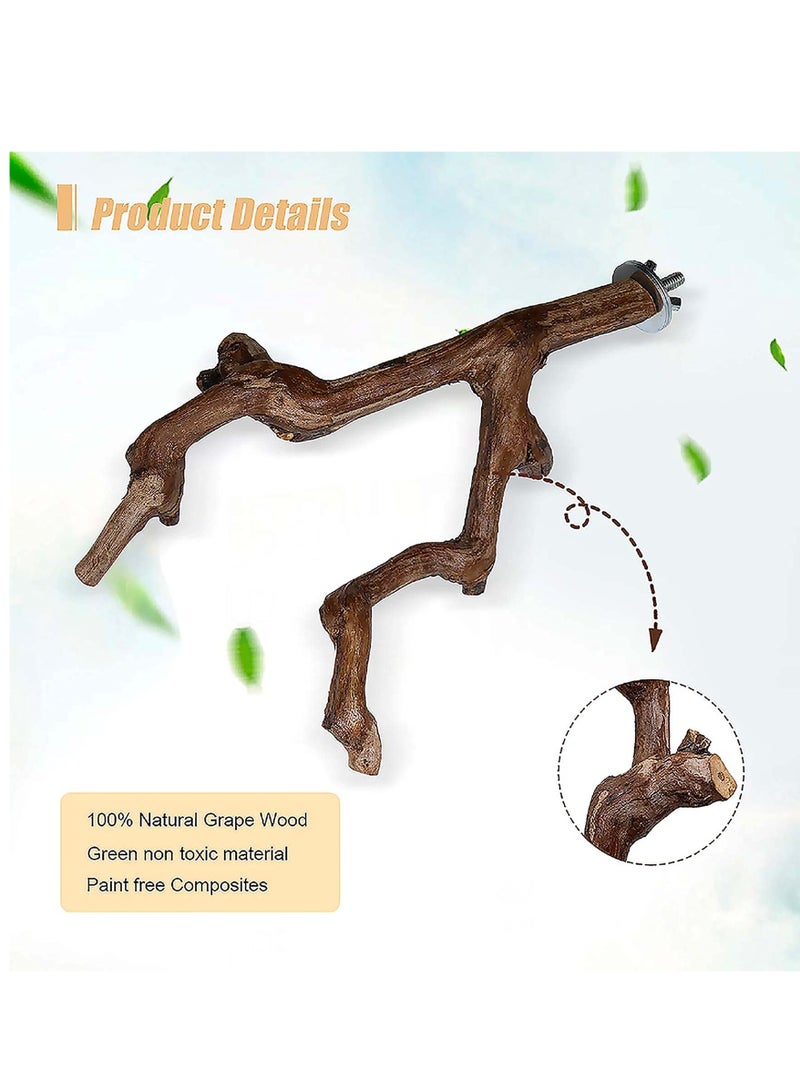 Parrot Perch Stands, Natural Wood Bird Parrot Stand Birds Stand, Branches Fork Perch Rod Stand, Grinding Paw Climbing Standing Cage Accessories Toy Branches for Parakeet, Budgies - Image 4