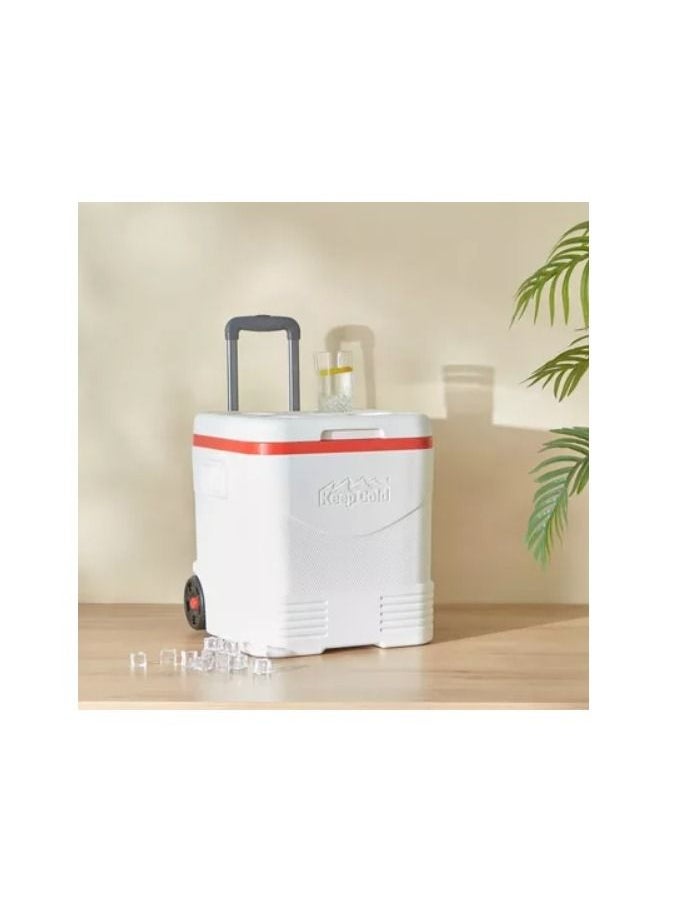 Picnic Trolley Icebox 30 L