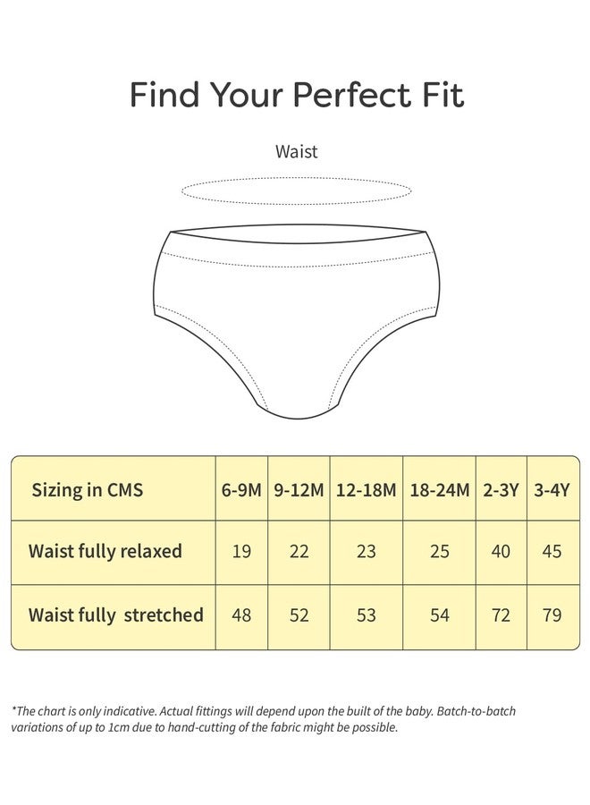 superbottoms Basic Brief for Kids | Unisex, 100% Pure Cotton Innerwear | Breathable & Soft Underwear | Baby Brief for 2Years 3Years | Doddle Dreams I Pack of 5, Assorted - Image 5