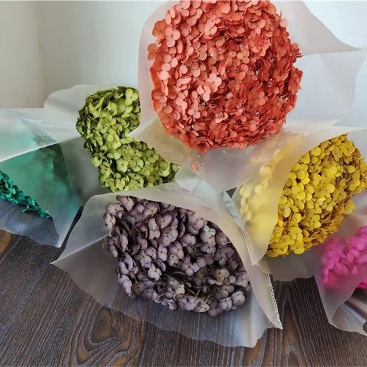 Bluejw Preserved Dried Hydrangea Bouquet - Natural Dried Flowers for Home Decor, Christmas, New Year, Wedding & Chinese New Year, Artificial Hydrangea Accent - Image 5