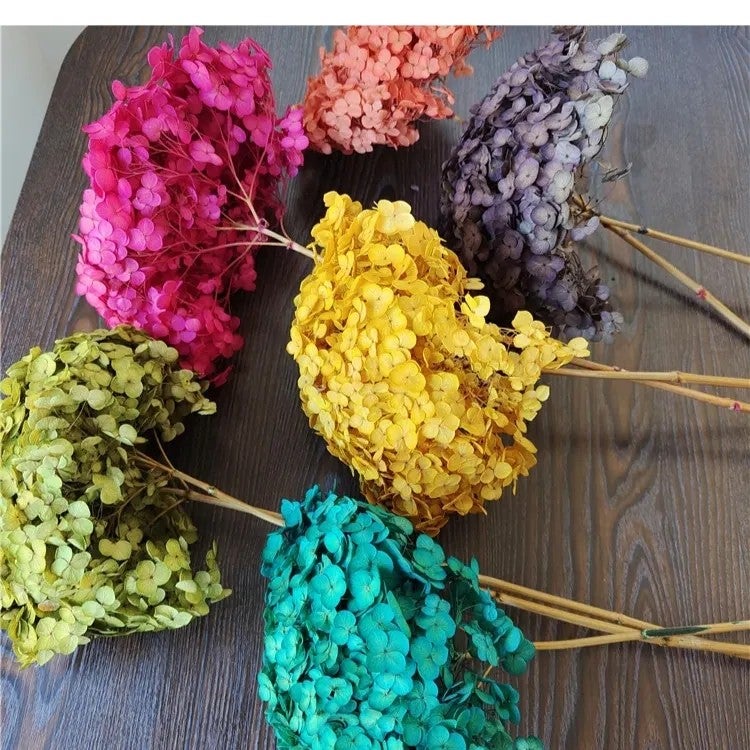 Bluejw Preserved Dried Hydrangea Bouquet - Natural Dried Flowers for Home Decor, Christmas, New Year, Wedding & Chinese New Year, Artificial Hydrangea Accent - Image 4