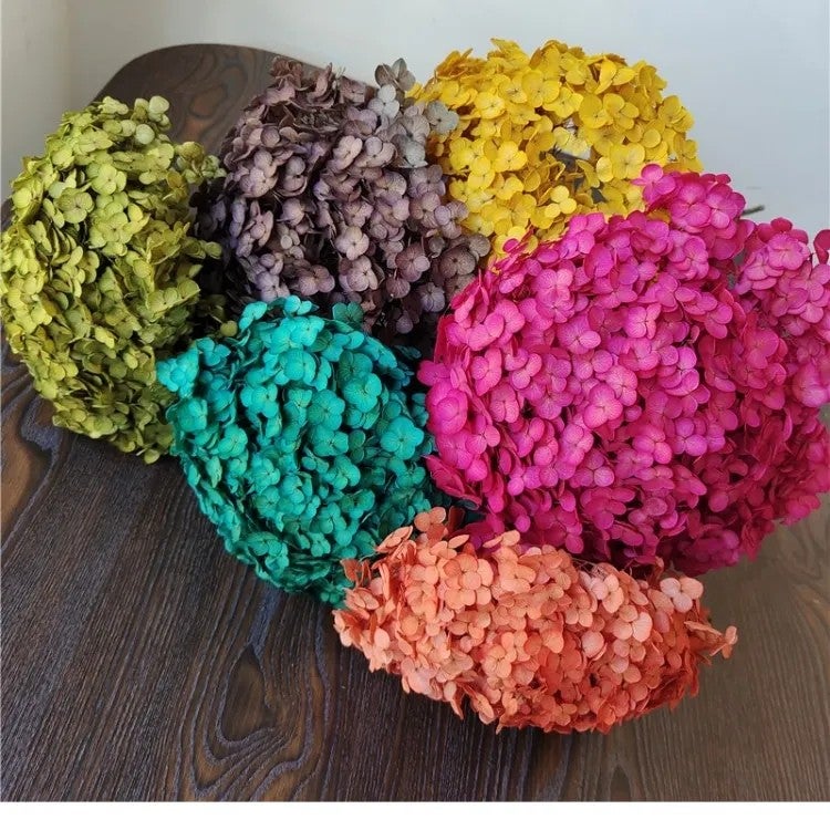 Bluejw Preserved Dried Hydrangea Bouquet - Natural Dried Flowers for Home Decor, Christmas, New Year, Wedding & Chinese New Year, Artificial Hydrangea Accent - Image 3