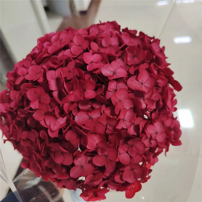 Bluejw Preserved Dried Hydrangea Bouquet - Natural Dried Flowers for Home Decor, Christmas, New Year, Wedding & Chinese New Year, Artificial Hydrangea Accent - Image 1