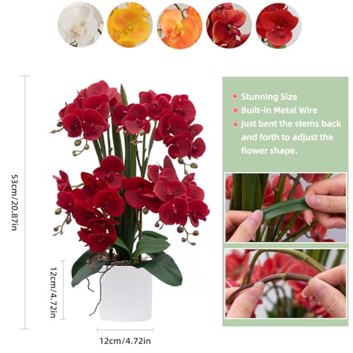 CXGS Artificial Orchid Flower Plants Real Touch Faux Orchids in Ceramic Vase 20.9'' Red Phalaenopsis Orchid Fake Flower Arrangement Home Indoor Decor - Image 2