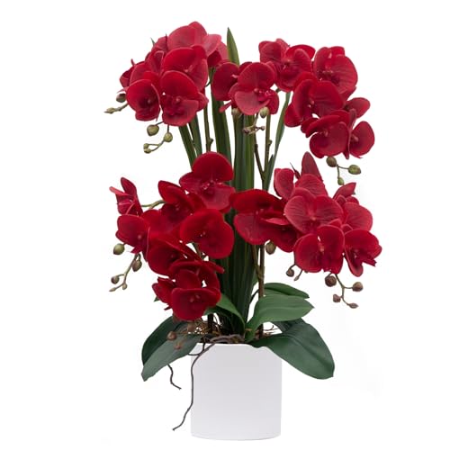 CXGS Artificial Orchid Flower Plants Real Touch Faux Orchids in Ceramic Vase 20.9'' Red Phalaenopsis Orchid Fake Flower Arrangement Home Indoor Decor - Image 1