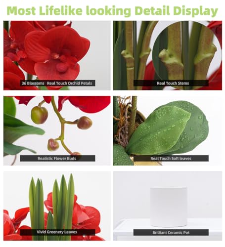 CXGS Artificial Orchid Flower Plants Real Touch Faux Orchids in Ceramic Vase 20.9'' Red Phalaenopsis Orchid Fake Flower Arrangement Home Indoor Decor - Image 3