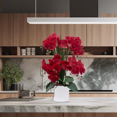 CXGS Artificial Orchid Flower Plants Real Touch Faux Orchids in Ceramic Vase 20.9'' Red Phalaenopsis Orchid Fake Flower Arrangement Home Indoor Decor - Image 5