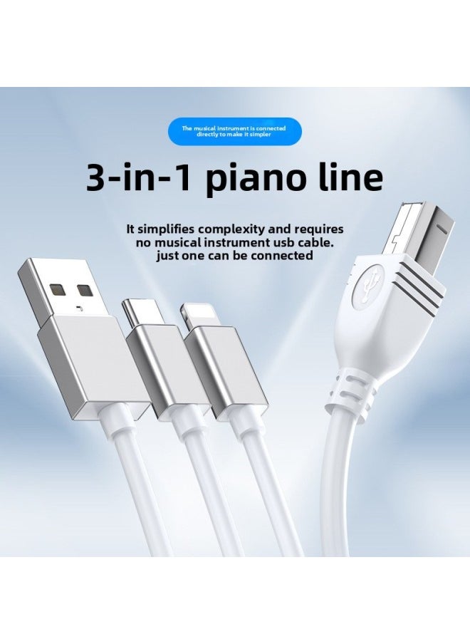 Generic - Suitable For Apple MIDI Musical Instrument Live OTG Sound Card Mixer Yamaha Electronic Piano Electronic Drum Connection-Model:USB/lightning/type-c - Image 1