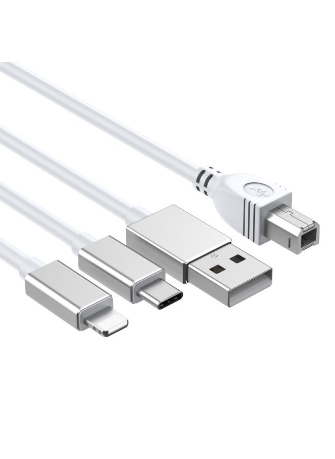Generic - Suitable For Apple MIDI Musical Instrument Live OTG Sound Card Mixer Yamaha Electronic Piano Electronic Drum Connection-Model:USB/lightning/type-c - Image 1