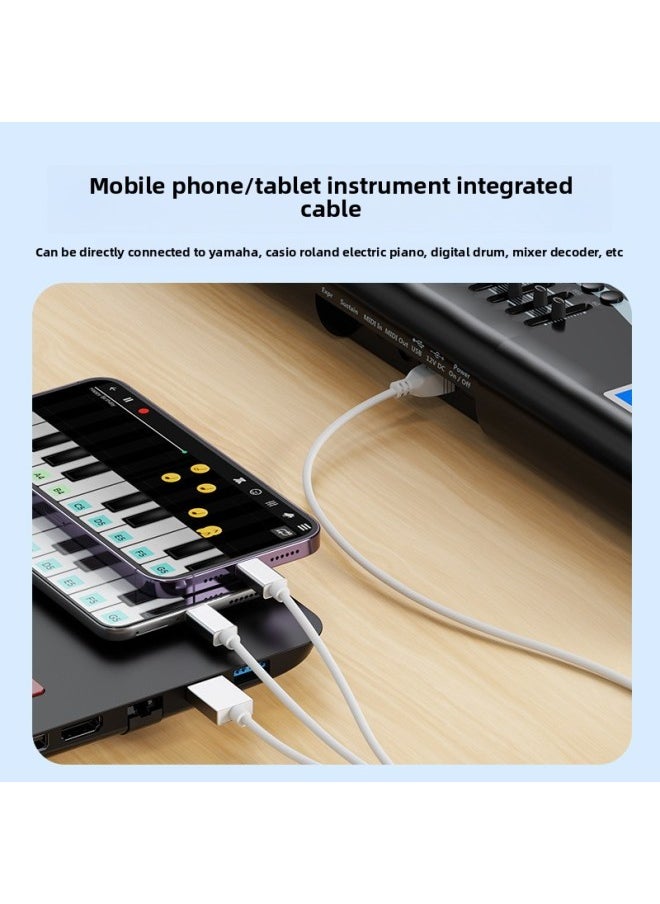 Generic - Suitable For Apple MIDI Musical Instrument Live OTG Sound Card Mixer Yamaha Electronic Piano Electronic Drum Connection-Model:USB/lightning/type-c - Image 1