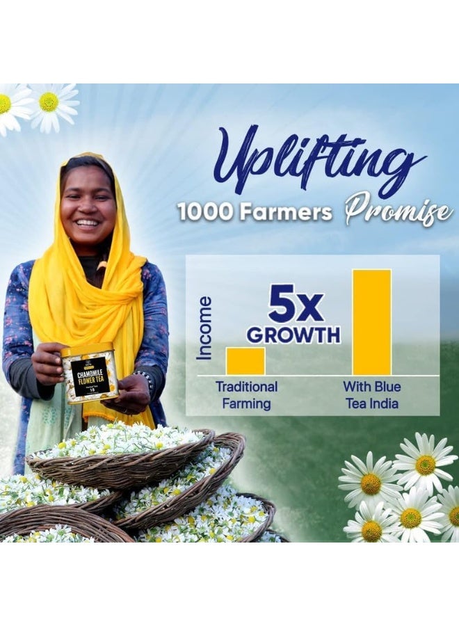 الشاي الأزرق - شاي البابونج - 30 جم - 50+ كوب | النوم والاسترخاء | شاي أعشاب - خالي من الكافيين - ذو قاعدة زهرية - غير مر | جرة الحيوانات الأليفة القابلة لإعادة الاستخدام - Image 2