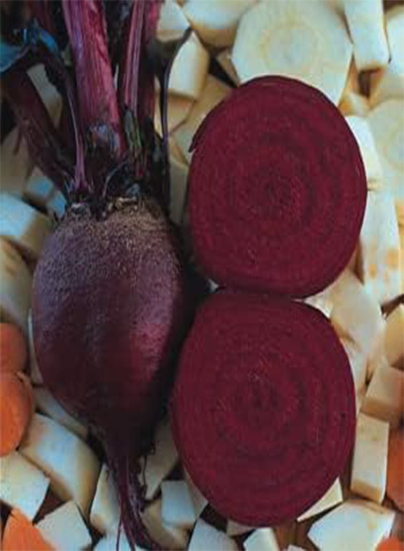 GGOOT Vegetable Seeds 60+ Varieties Carrot Pumpkin Cabbage Pea Tomato SWEETCORN Bean Turnip Swde Brussel Onion Cauliflower Fennel Beetroot Herbs (Beetroot Detroit)